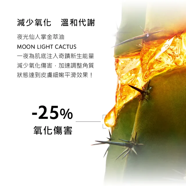 【YSL】官方直營 極效活萃水感穩膚乳(調皮乳/乳液)