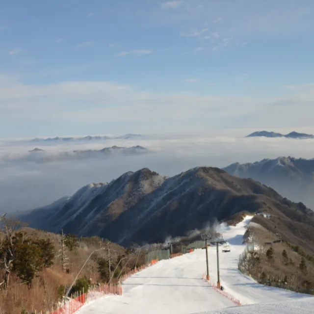 【喜鴻假期】★不進人蔘保肝．清心首爾５日★保證入住滑雪度假村一晚、冬季滑雪、壽岩谷展望台