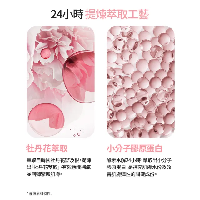 【LANEIGE 蘭芝】官方直營 粉澎潤睡美人晚安面膜 60ml(蘭芝 晚安凍膜 緊緻 撫紋 膠原蛋白)