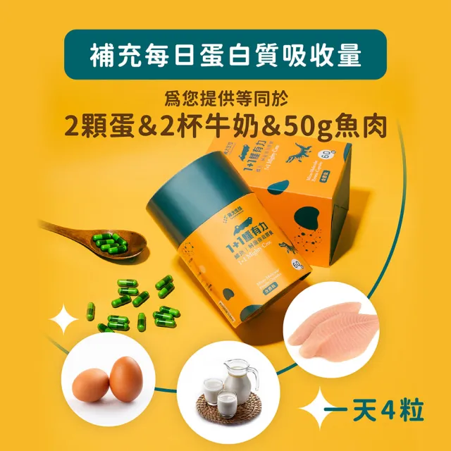 雍大生技｜1+1鱷有力｜軟骨素｜鱷魚鱘龍強效膠囊 (60粒/盒)