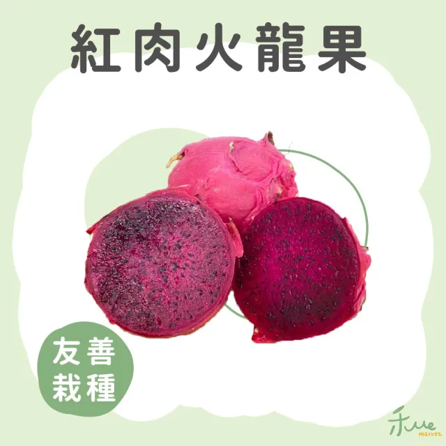 【禾ME】特選紅肉火龍果5斤X1盒(約8-10顆)雙十一組合