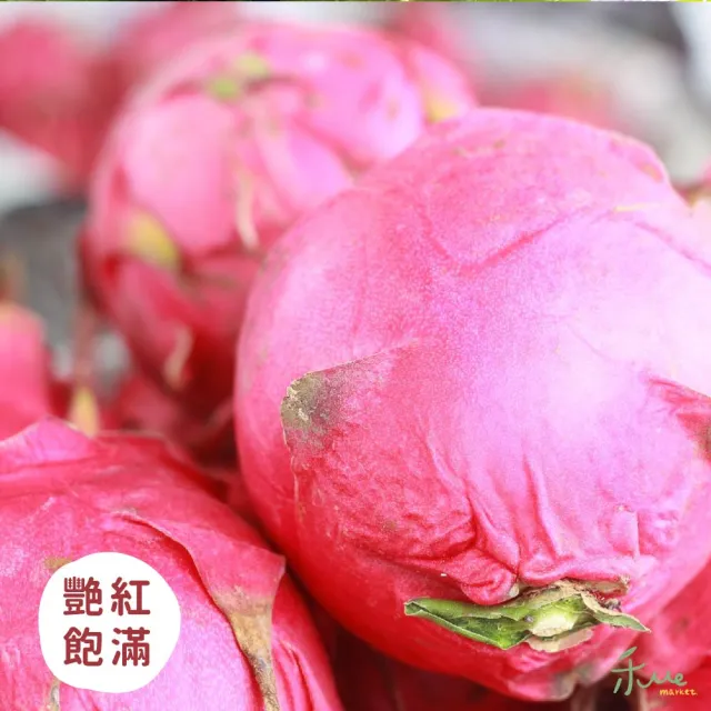【禾ME】特大紅肉火龍果5斤1盒(約5-6顆)雙十一組合