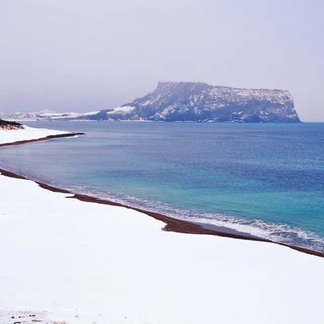 寒假春節~易起濟州冬雪五日-漢拏山賞雪、島中島牛島、森林小火車、羊駝牧場體驗(早去晚回)
