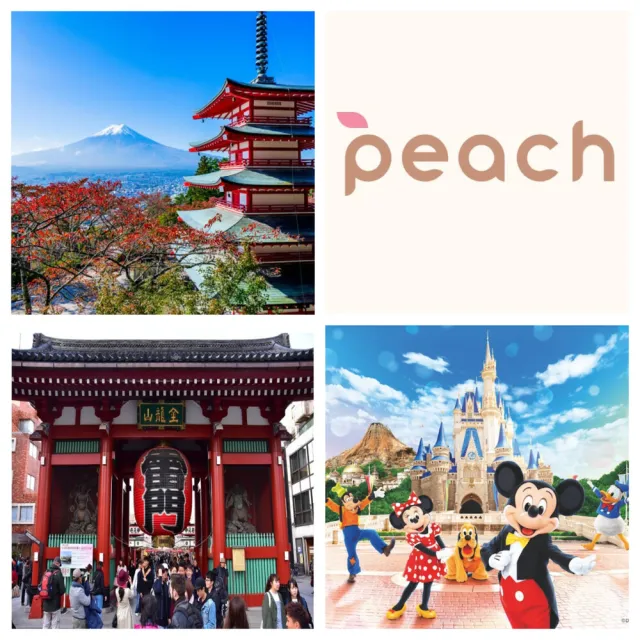 11-3/17月指定日期出發東京五日自由行★樂桃+飯店三選一(早去晚回含行李/兩人一室-單人券)