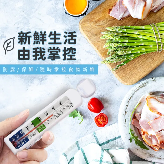 冷凍冰箱溫度計 營業用冰箱溫度計 吸盤吸附 測溫器 食品保鮮溫度計 家用溫度計 藥用冰箱溫度計 B-ITG