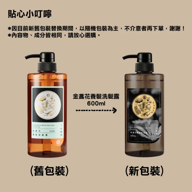 【tsaio 上山採藥】3入組-五星飯店精油洗髮露600ml(山茶花/金盞花/積雪草)