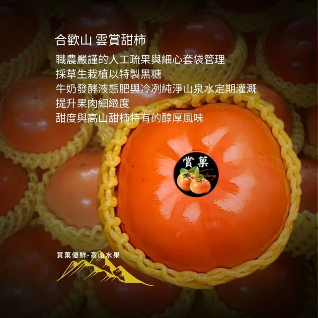 【賞菓優鮮】合歡山高海拔雲賞甜柿9A箱裝1箱(13粒/6.5斤/箱)(秋天的營養寶庫_完熟現採_產地直送)