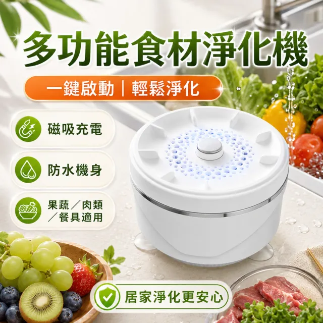 Eco森活 臭氧發生器 800mg/h（果蔬機 洗菜機 食材凈化機 果蔬清洗機 蔬果消毒機 負離子凈化機）