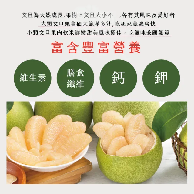 【初品果】海伯花蓮鶴岡 外銷40年老欉精品文旦禮盒 10斤7-9顆 x2箱(大果 中秋禮盒 企業採購 送禮)