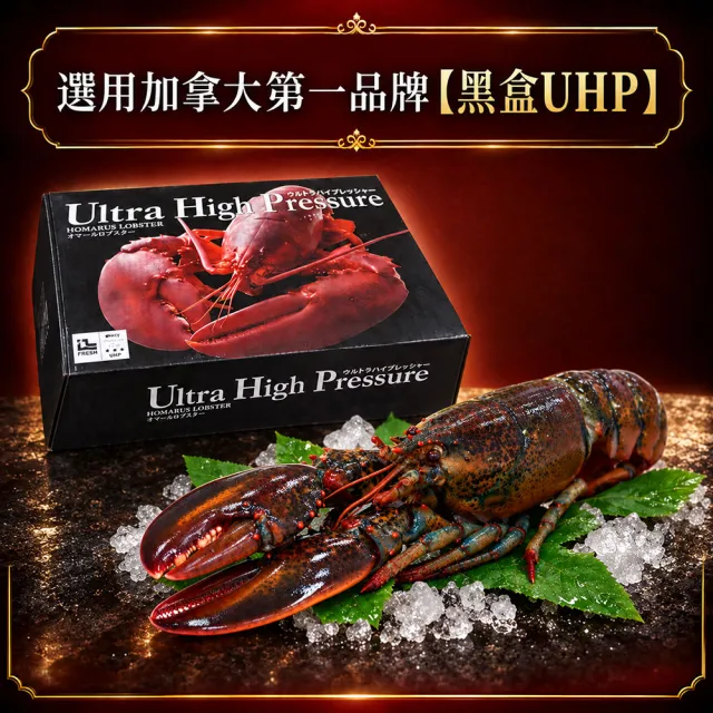 【優鮮配】高壓波士頓龍蝦 500GX2尾/UHP黑盒/波龍第一品牌/HPP高壓殺菌 /蝦肉不黏殼