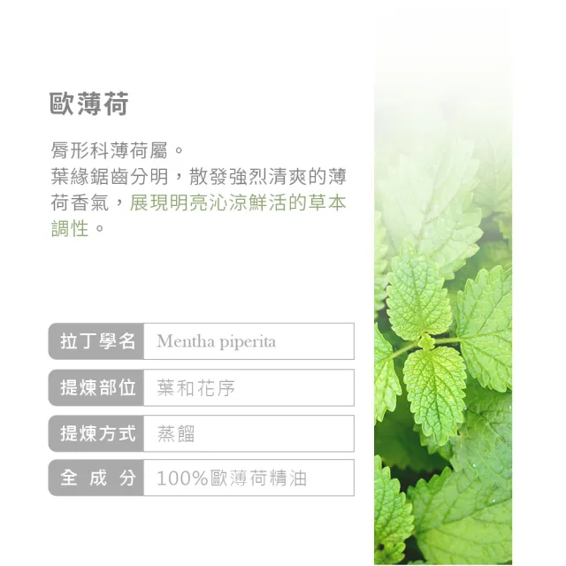 【ANDZEN】安得仁 澳洲單方純精油100ml 歐薄荷ｘ２＋甜橙30ml(涼爽清透+果香明亮)