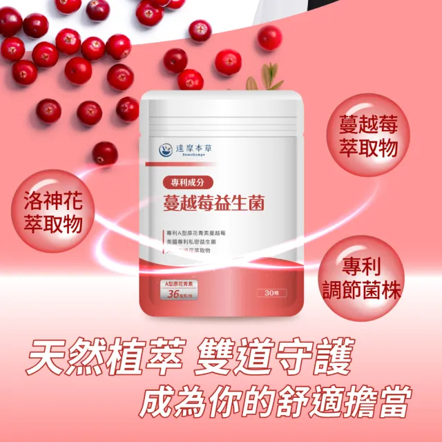 【達摩本草】蔓越莓益生菌 6入30顆/包(專科醫生推薦、足量原花青素)