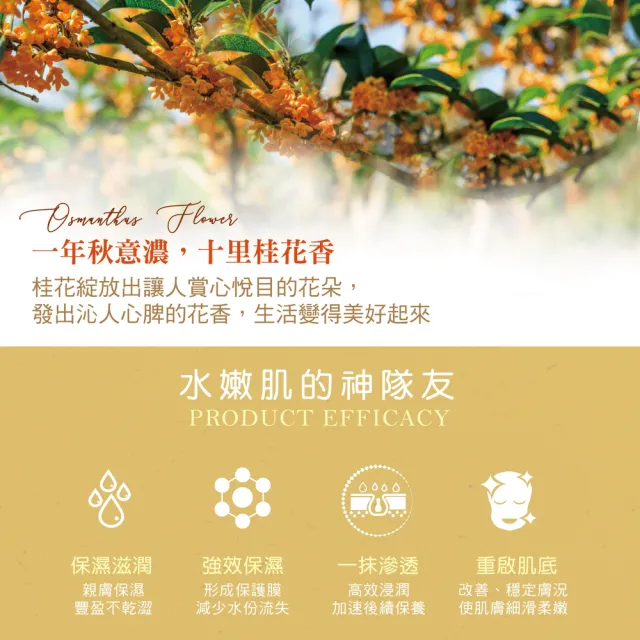 【Herbox 荷柏園】艾塔桂花高酵前導精華 110ml