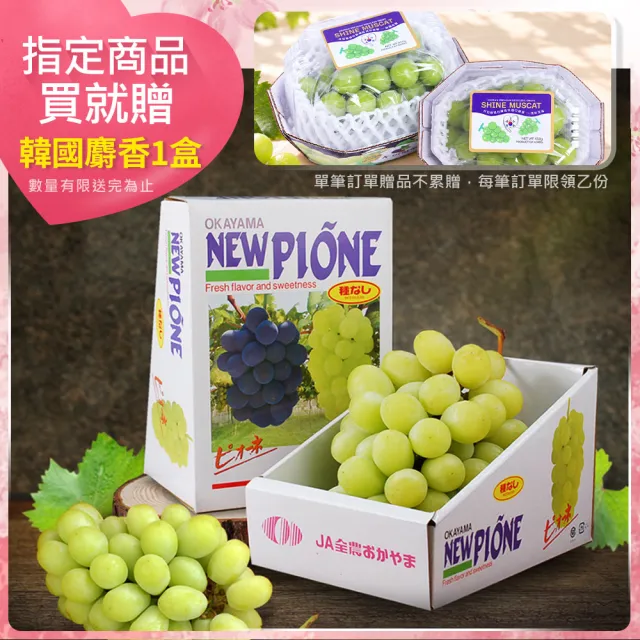 【優鮮配】日本空運麝香葡萄大串625g 1房 買就送 韓國麝香葡萄1串/450g (無毒農產 皮薄無籽 自用送禮)