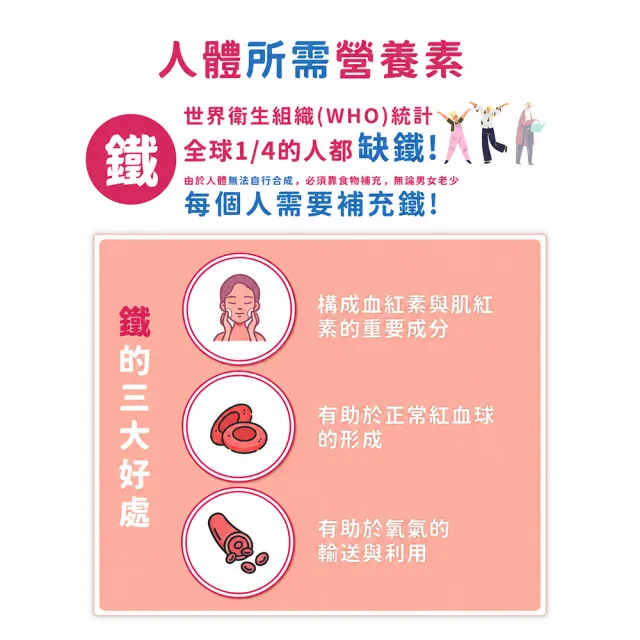 【永信藥品】綜合維他命B群+鐵錠4瓶組(共360錠/ 一年份 / 鐵 / 牛磺酸 / 糖衣錠 /上班族 / 學生 / 女性)