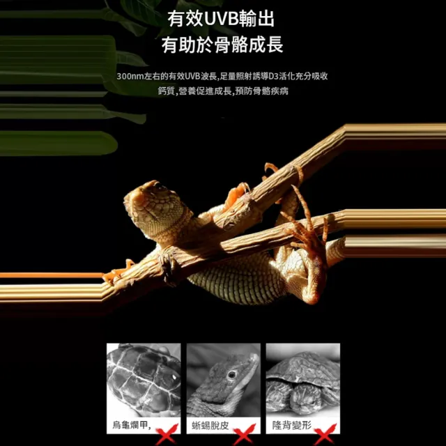 【IPSKY】可定時烏龜曬背燈 UVB爬寵飼養缸照明燈 全光譜爬蟲專用太陽燈 夾燈軟管可調角度 陸龜水龜補鈣