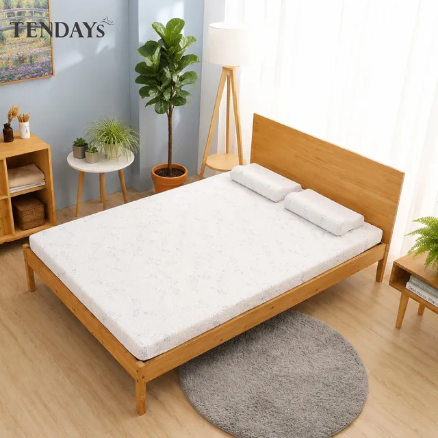 【TENDAYS】DS柔眠床墊5尺標準雙人(星幻藍白 8.5cm厚 記憶床)