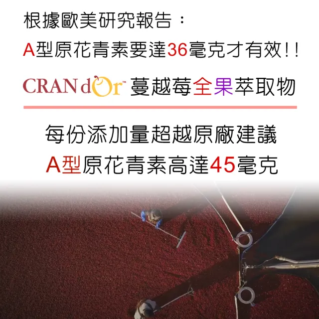 【IVITAL 艾維特】私密益生菌+蔓越莓+甘露糖+洛神花萼膠囊2入組(共120粒 含A型前花青素45毫克 3大原廠授權)