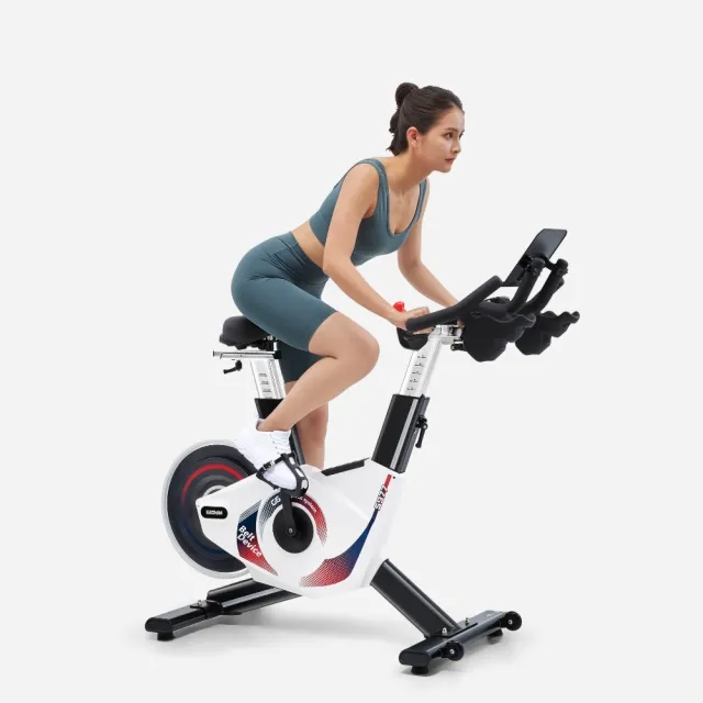 【BGYM 比勁】S977 高精度磁控後驅飛輪車『搖滾彩虹』(Zwift/台灣製造/健身腳踏車/室內腳踏車/技師安裝)
