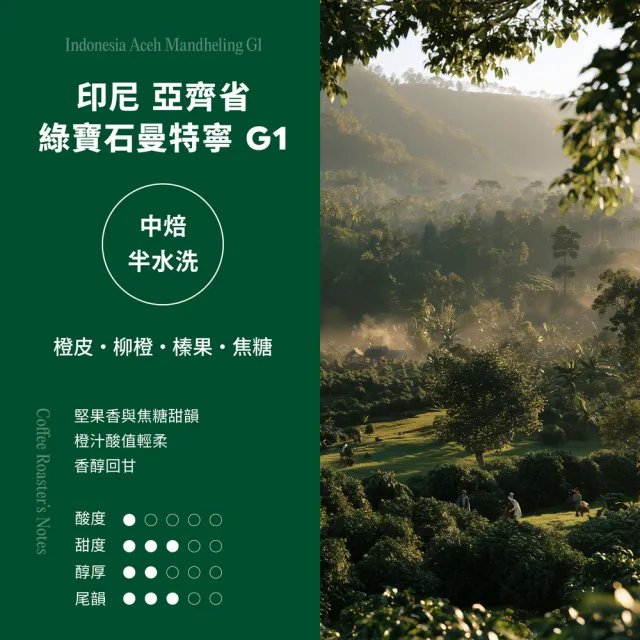【江鳥咖啡】世界風情咖啡豆綜合風味4包組(225g/包;印尼/耶加雪菲/西達摩/汐碧瀑布)