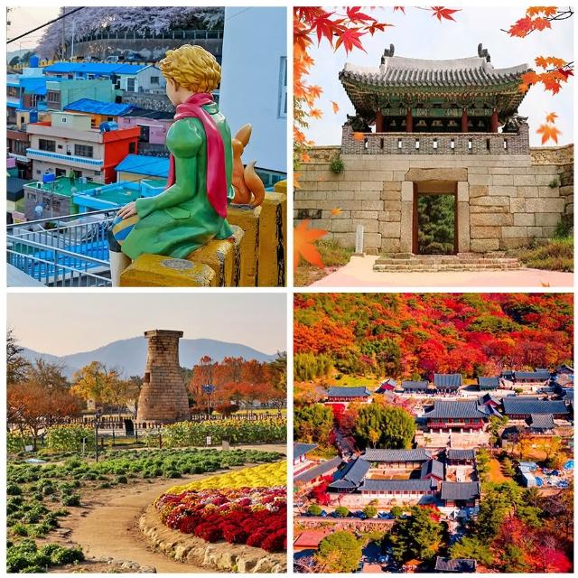 威風釜慶邱賞楓五日-八公山、金井山城、梵魚寺、東萊鄉校、加耶公園、海岸列車、塗鴉秀