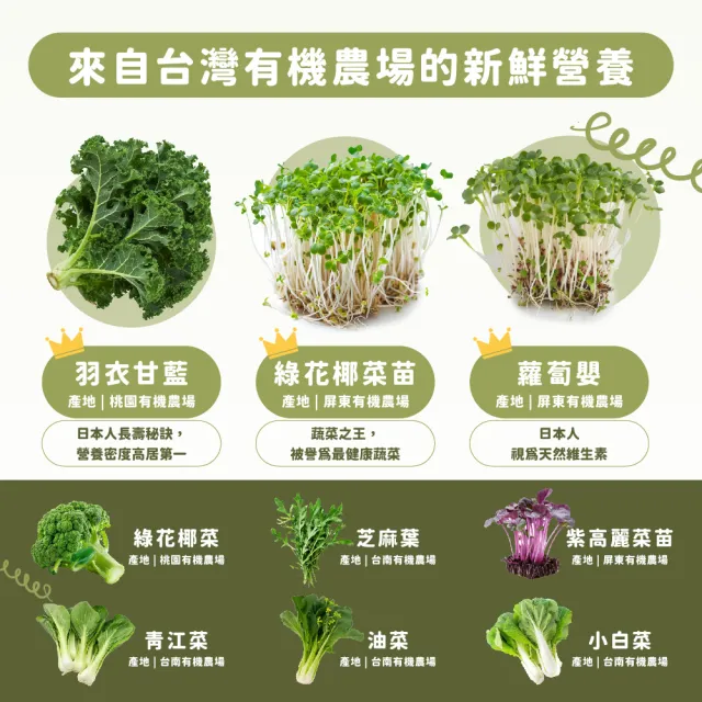 【Dr. Ginger 薑博士】超青汁2盒(30包/盒 青花椰苗/羽衣甘藍/蘿蔔硫素)
