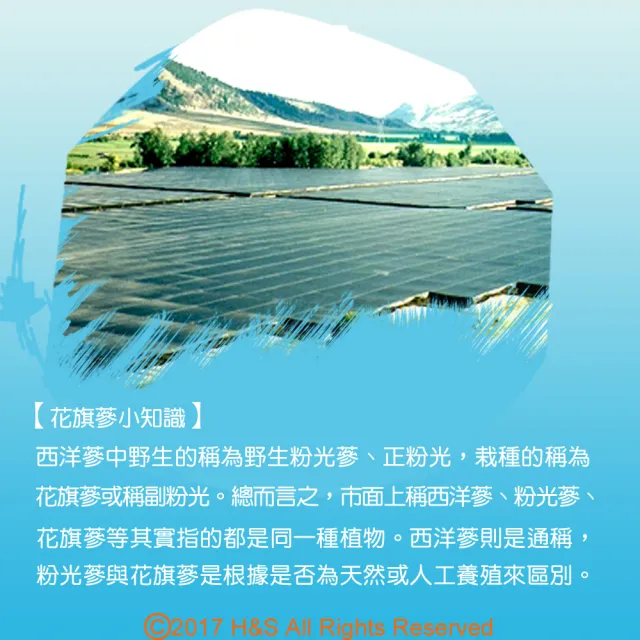 【瀚軒】特選韓國人蔘茶5g*30包+嚴選美國西洋蔘茶 3g*50包(各1盒)