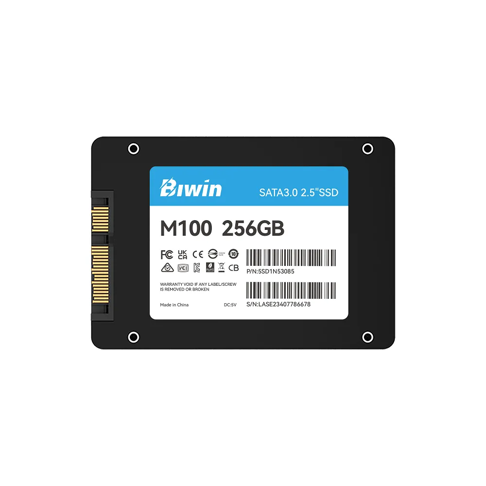 佰維 M100 256GB SATA 固態硬碟