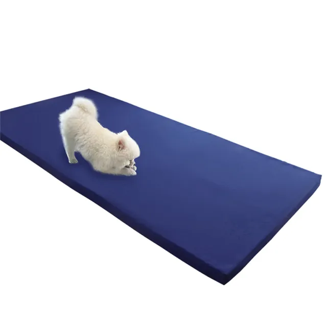 【BEARBED 熊棉】「台灣製」單人厚度5cm 防潑水 3x6尺 彈力床墊 防潑水輕巧彈力床墊