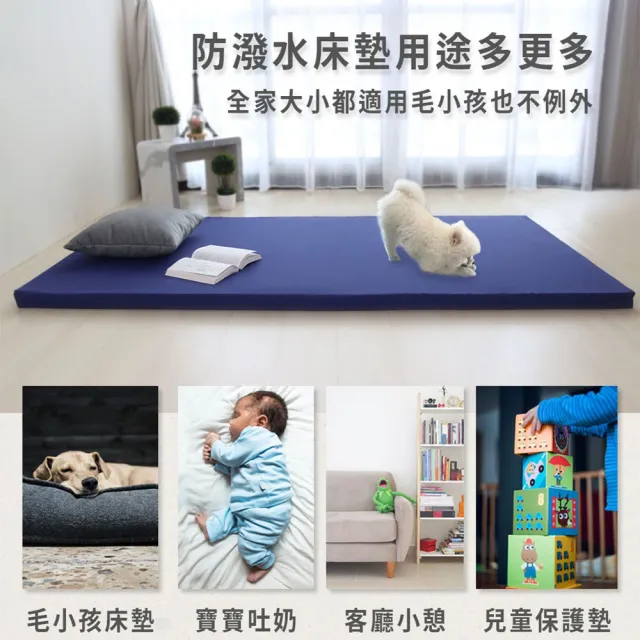 【BEARBED 熊棉】「台灣製」迷你尺寸厚度5cm 防潑水 2x4尺 彈力床墊 防潑水輕巧彈力床墊
