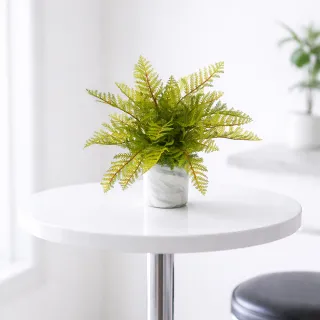 【HUGO DECO 榆果傢飾】高擬真蕨類小品盆栽(人造植栽/仿真植物/綠化/佈置)