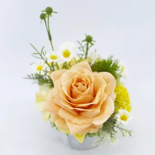 【HUGO DECO 榆果傢飾】水感橘玫瑰小雛菊香氛花飾(擬真花/香氛/花禮/桌花/永不凋零)