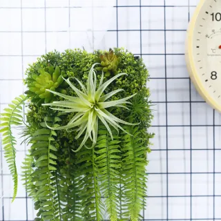 【HUGO DECO 榆果傢飾】森系空氣鳳梨蕨葉植生框(擬真植栽/擬真植物/遮電箱/居家佈置/壁面裝飾)