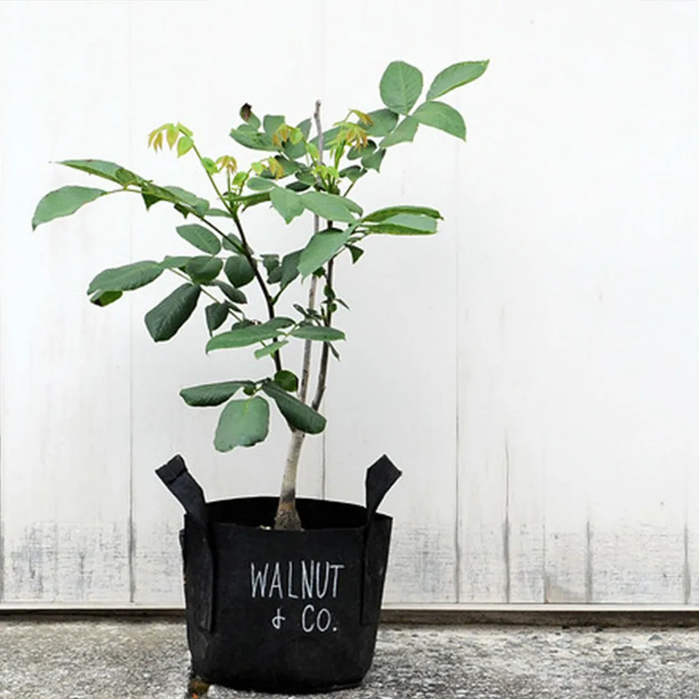 【Root Pouch】美植袋(W43cm H38cm/56L)