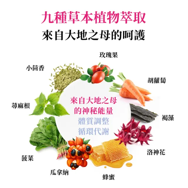 【vigoway 威客維】醇萃活鐵補精2入組 (15ml*10支/盒)