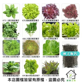 【蔬菜工坊】新手秋冬可栽培短期收成葉菜類種子系列(各包裝數量詳見內文及圖片)