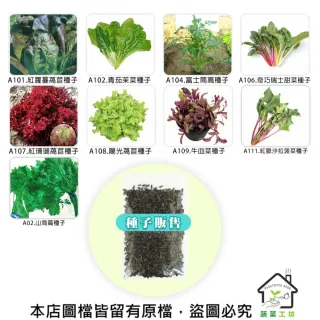 【蔬菜工坊】新手秋冬可栽培短期收成葉菜類種子系列(各包裝數量詳見內文及圖片)
