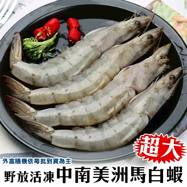【三頓飯】野放活凍超大中南美洲馬白蝦 2盒組(600g/盒 約10-20尾/盒)