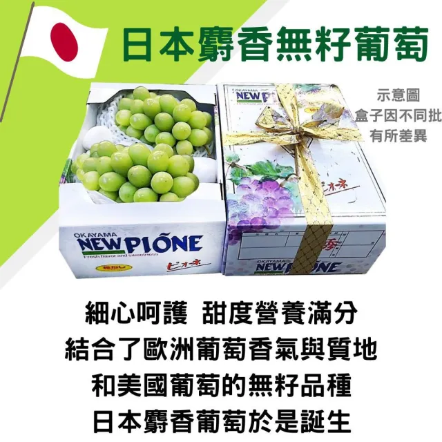 【RealShop】日本長野頂級麝香葡萄淨重350-400gx4房/禮盒(共1.4-1.6kg±10%裝)