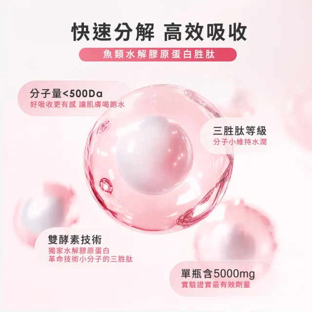 【GNC 健安喜】極緻膠原蛋白飲10瓶/盒(魚膠原/5000mg/500Da小分子/玻尿酸/美顏熟齡/雪蓮精華/多國專利)