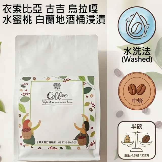 【木子家咖啡】衣索比亞 古吉｜烏拉嘎 水蜜桃白蘭地酒桶浸漬 水洗中焙單品咖啡豆(半磅/包、PROBAT烘豆機)