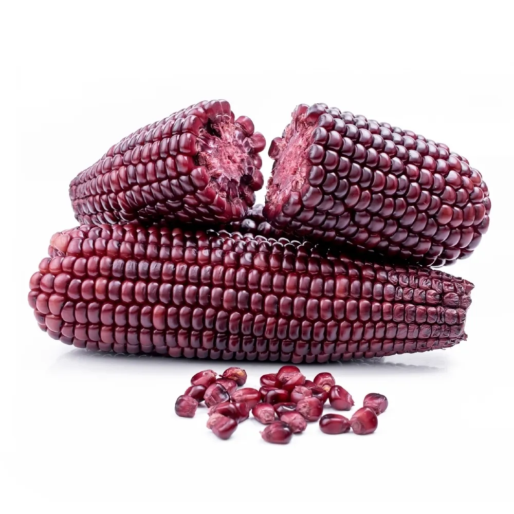 【WANG 蔬果】黑寶紫糯米玉米10斤x1箱(農民直配)