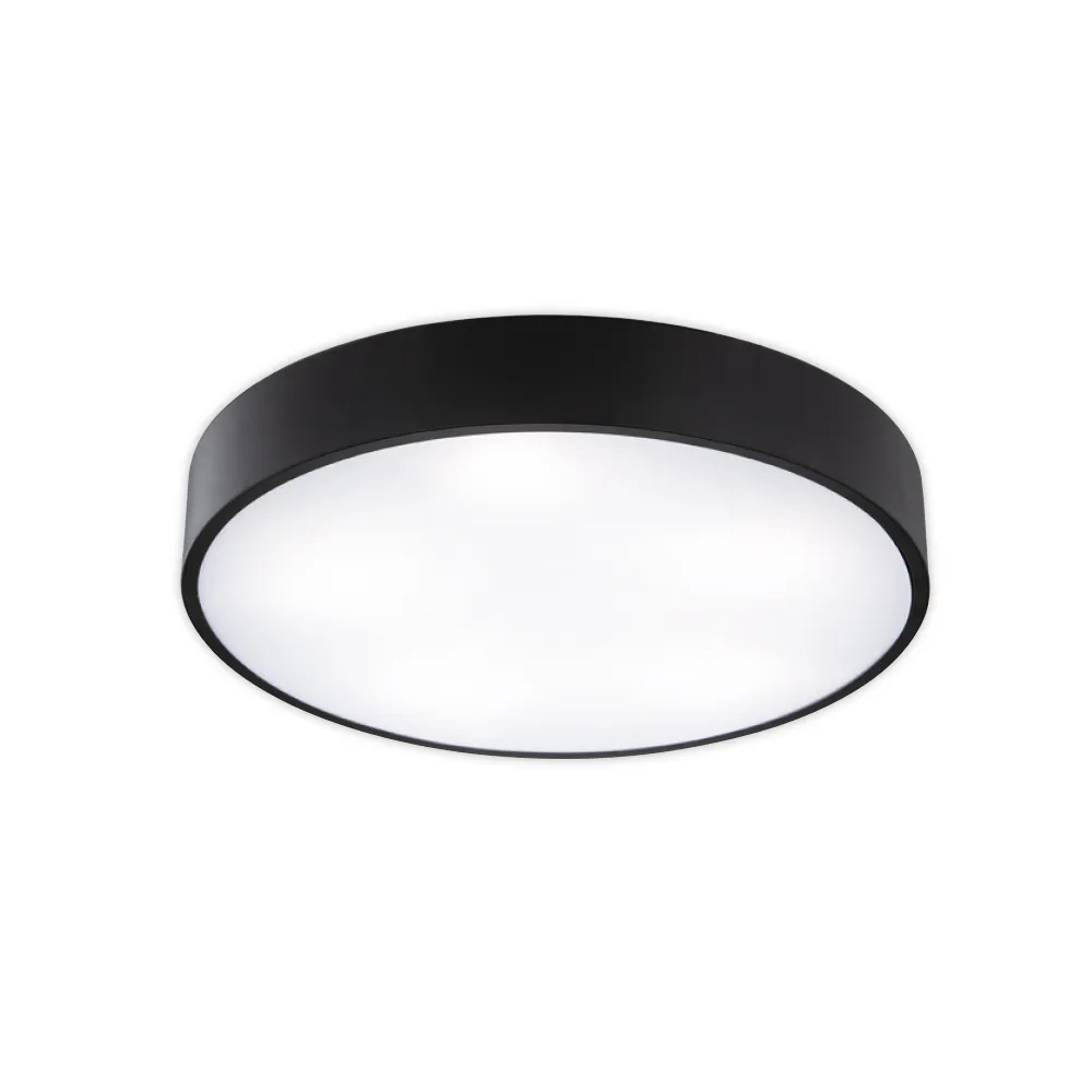【必登堡】耀芒吸頂燈 低調黑 B572982(客廳燈/餐廳燈/樓梯燈/兒童房/玄關/LED/現代/簡約/北歐風)
