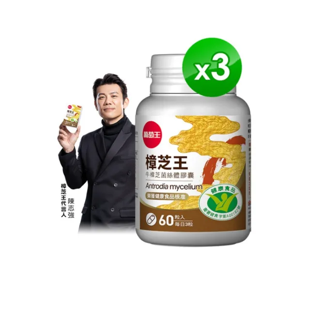 【葡萄王】樟芝王菌絲體膠囊 x3瓶 共180粒(陳志強推薦 GABA 芝麻素 幫助入睡 牛樟芝膠囊 葡萄王官方)