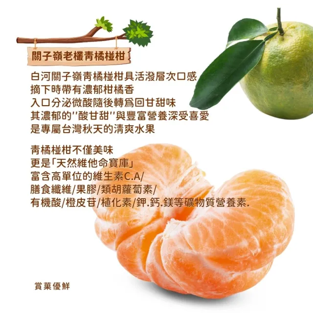 【賞菓優鮮】白河關子嶺老欉青橘椪柑精美中果禮盒1盒(11-13粒/5斤)(肉橘酸甜_皮青馨香_產地現採直送)