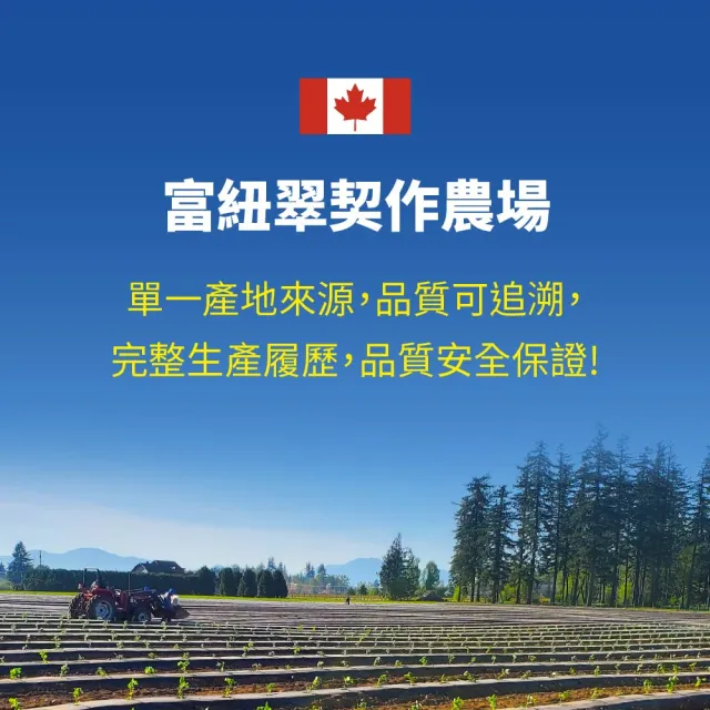 【Frenature 富紐翠】加拿大A級冷凍藍莓 350g x 12包組