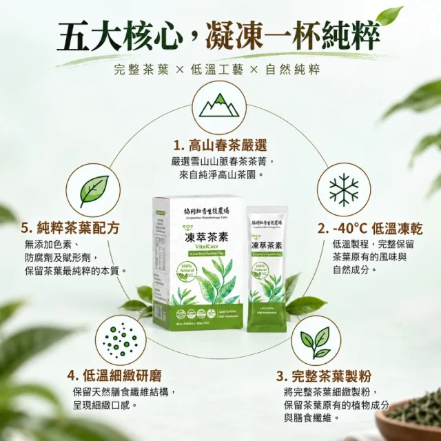 【Naturgrace 樂而泉】高纖種籽蛋白粉 454g+協同 凍萃茶素1gx15入 植感日常雙享組雙11