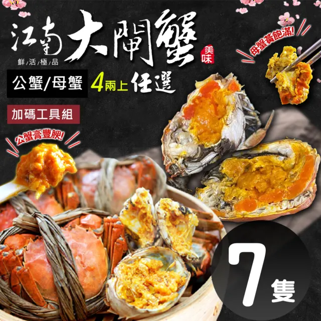 【築地一番鮮】(公母任選)4兩上大閘蟹 7隻組/贈工具組/江南大閘蟹