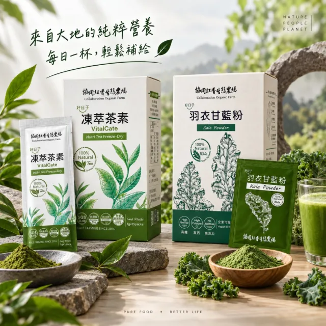 日森協同 頂級凍乾羽衣甘藍粉1gx15入+凍萃茶素1gx15入 每日綠意雙享組雙11
