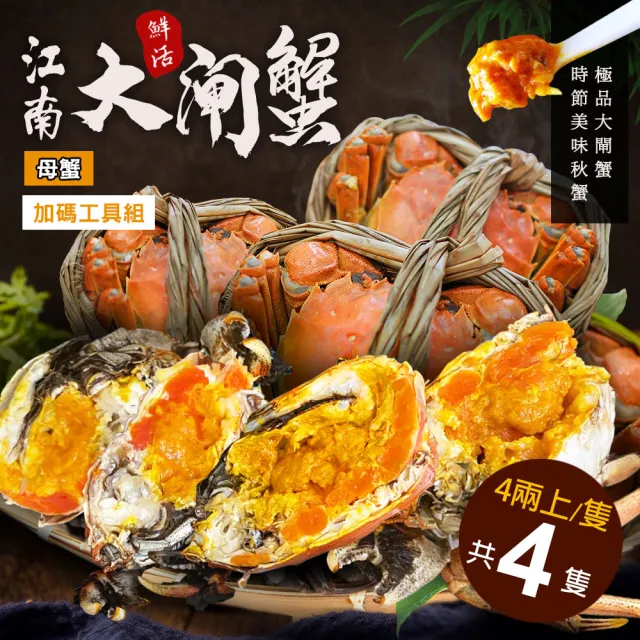 【優鮮配】母4兩上大閘蟹 4隻/贈工具組/江南大閘蟹